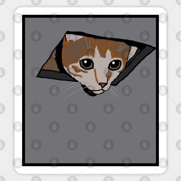 Ceiling Cat Meme Sticker by pomoyo
